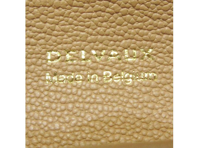 Delvaux Brillant - vista 4