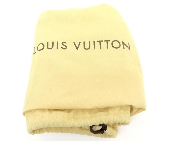 LOUIS VUITTON JELLY MM EDIÇÃO LIMITADA M BOLSA94182 bolsa de couro envernizado - vista 20