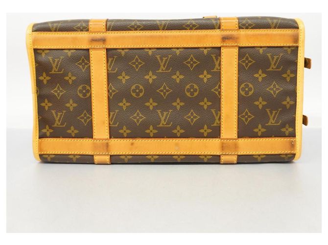 Louis Vuitton sac Chien Marrone - vista 3