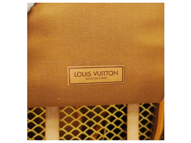 Louis Vuitton sac Chien Marrone - vista 6