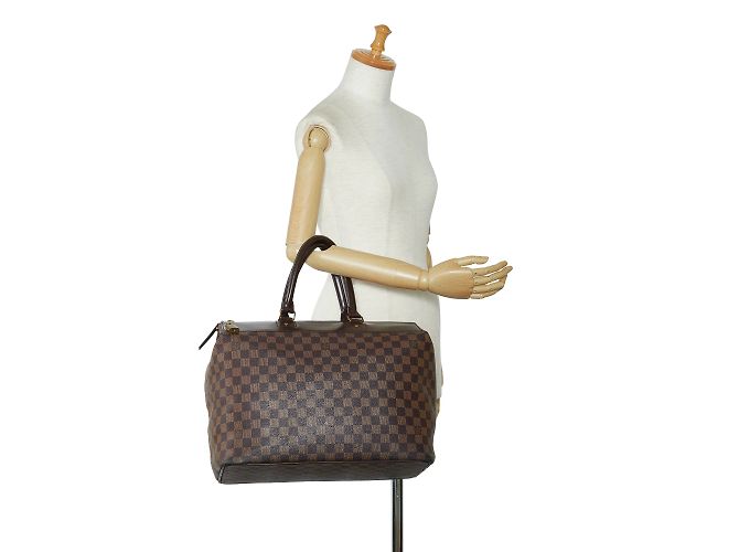 Borsa da viaggio marrone Louis Vuitton Damier Ebene Greenwich PM - vista 16