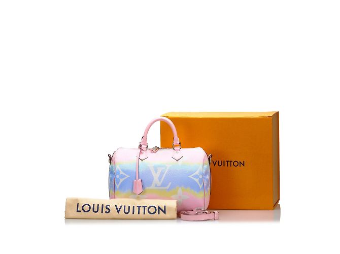 LOUIS VUITTON Sacs à main Speedy Bandoulière Marron - vue 12
