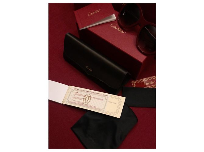 Gafas de sol Cartier Panther Temples rojas plata Hardware de plata - vista 6