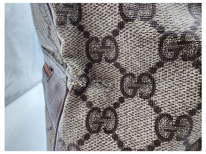 Ophidia Borsone Gucci Sherry Supreme Boston con custodia - vista 17