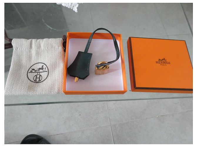 clochette , nuova cerniera e lucchetto Hermès per la borsa per la polvere Hermès Verde scuro - vista 2