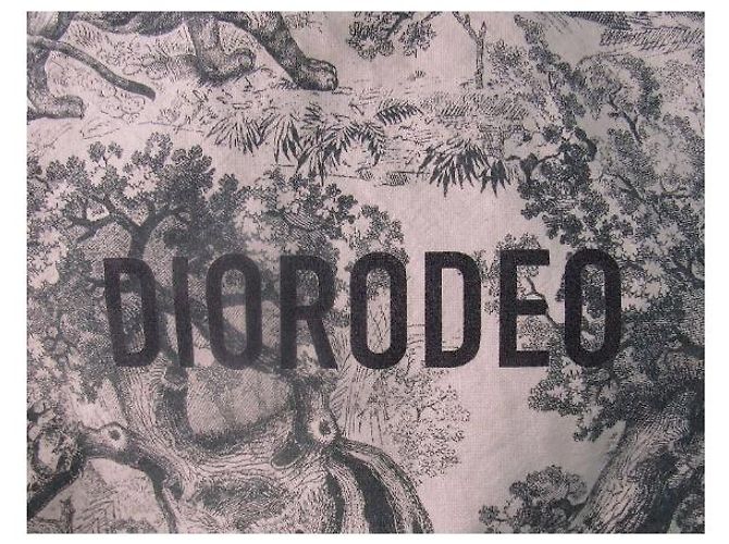 Christian Dior Borsa tote Dior - vista 4