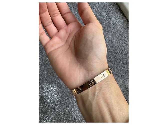 Bracciale Cartier Love in oro rosa D'oro - vista 9