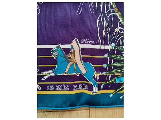 Hermès Hermes "Pani La Shar Pawnee" Multicolore - vista 3