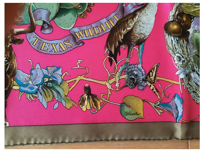 Hermès "Fauna e flora del Texas" Multicolore - vista 3