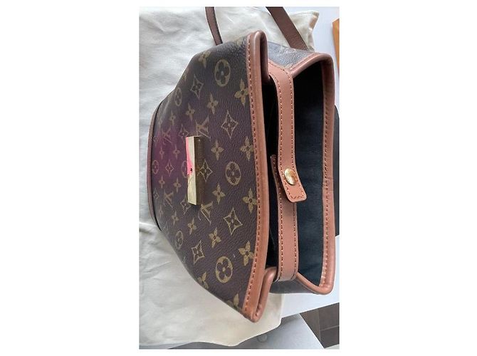 Sobe Louis Vuitton delfino Marrone - vista 3