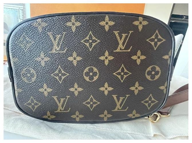 Sobe Louis Vuitton delfino Marrone - vista 8