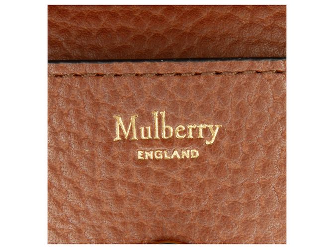 Mulberry Cartera de cuero Darley marrón morera - vista 9