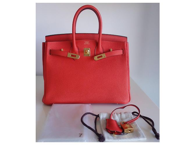 Borsa Hermès Birkin 25 in pelle Togo arancione - vista 10