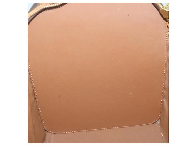 LOUIS VUITTON Monogram Sac Shan 40 Pet Carry M42024 Auth LV 64777 Monogramme - vue 21