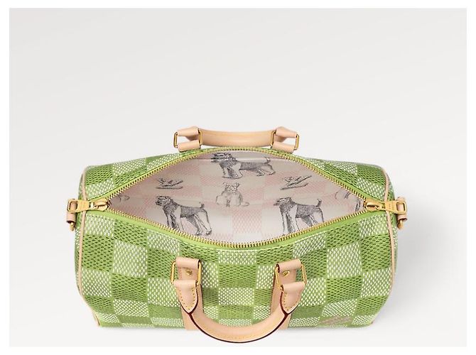 Abbesses Louis Vuitton LV Keepall 35 campo da golf Damier Verde - vista 2