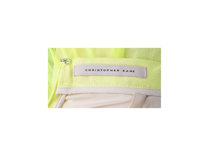 Falda de tul plisada de Christopher Kane Verde - vista 4