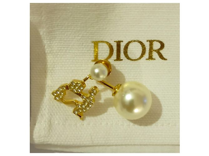 Zodiaco tribale Dior : ACQUARIO Crudo - vista 5