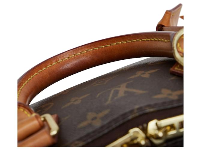 Alma Sacs à main LOUIS VUITTON Marron - vue 10