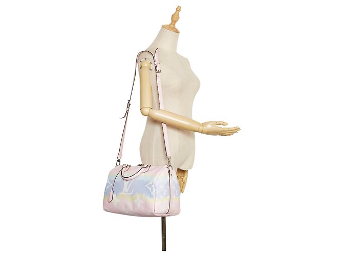LOUIS VUITTON Sacs à main Speedy Bandoulière Marron - vue 11