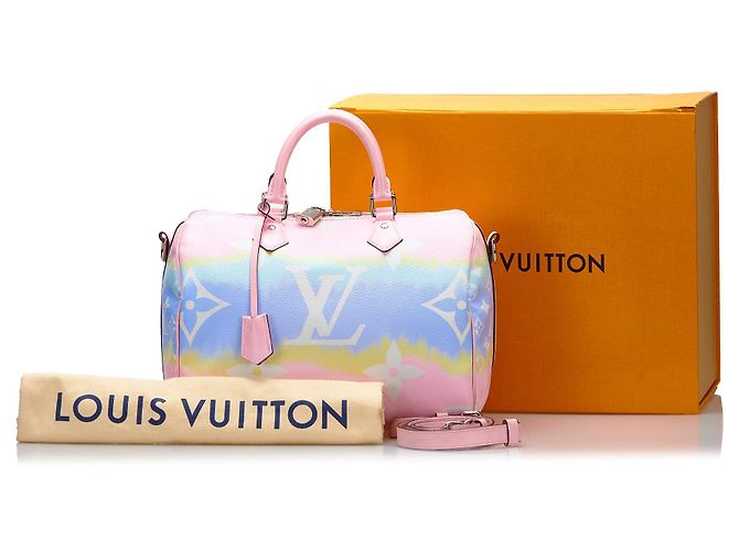 LOUIS VUITTON Sacs à main Speedy Bandoulière Marron - vue 12