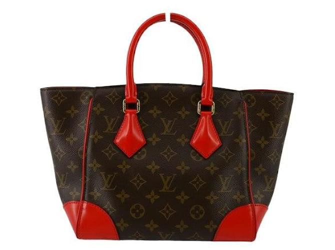 Louis Vuitton Phenix Marrone - vista 9