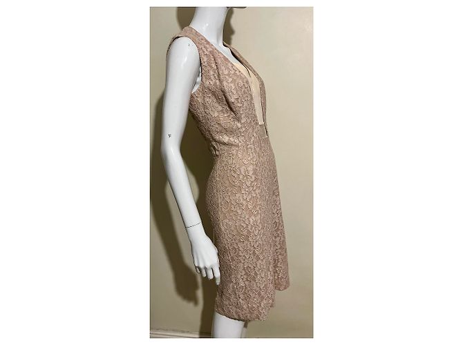 Reiss Spitzenkleid Rosa Pink Fleisch - Ansicht 5