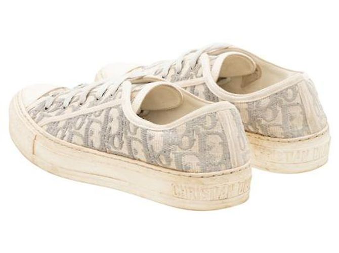 Sneaker Walk'n'Dior Oblique Grigia - vista 4