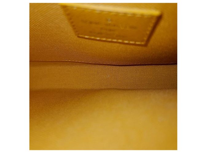 Louis Vuitton  Vivienne Pochette Félicie M81762 Multiple colors Monogram - view 6