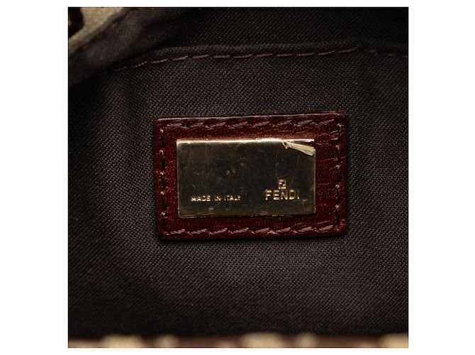 Borsa a tracolla Zucchino marrone di Fendi - vista 6