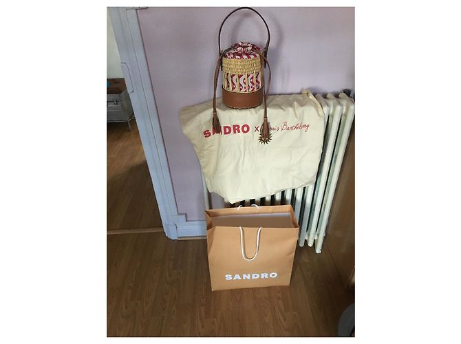 Piccola borsa a cestello del marchio Sandro Beige - vista 2