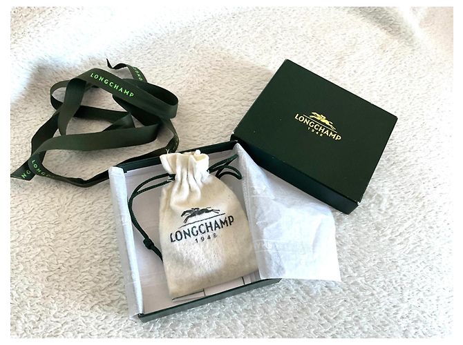 Lucchetto Longchamp Charm per Borsa Argento Acciaio - vista 5