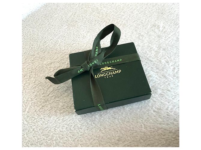 Lucchetto Longchamp Charm per Borsa Argento Acciaio - vista 6
