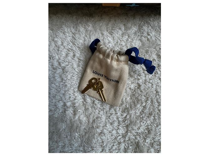 Abbesses Keepall 50 Louis Vuitton X Tyler the Creator. Marrone - vista 8