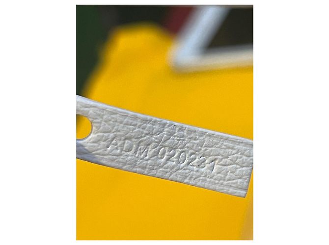 Goyard Saint Louis PM Bianco - vista 10