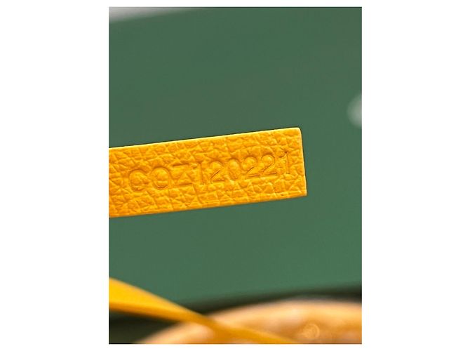 Goyard Saint Louis GM Giallo - vista 8