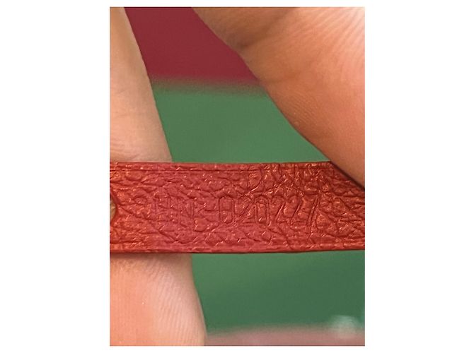 Goyard Saint Louis PM Rosso - vista 10