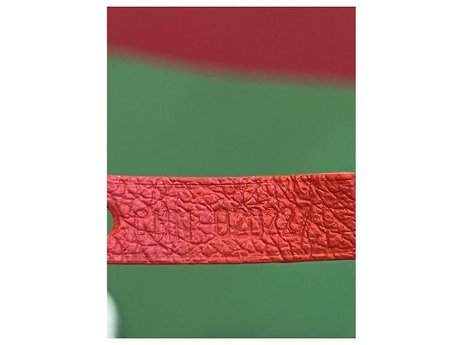 Goyard Saint Louis PM Rosso - vista 9