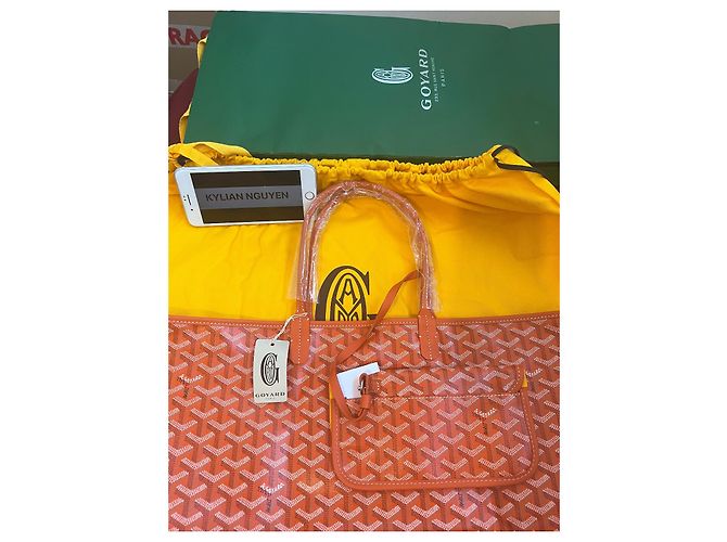 Goyard Saint Louis PM Orange - view 4