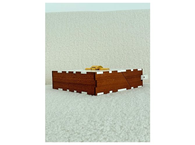 Bottega Veneta Daisey Box Marrone Bianco - vista 11