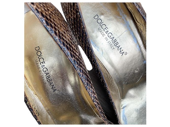 Dolce & Gabbana Pumps aus braunem Pythonleder mit spitzer Kappe - Ansicht 11