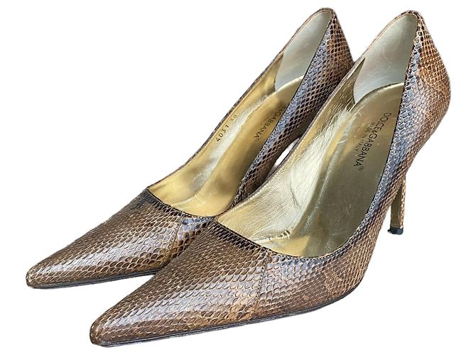 Dolce & Gabbana Pumps aus braunem Pythonleder mit spitzer Kappe - Ansicht 2