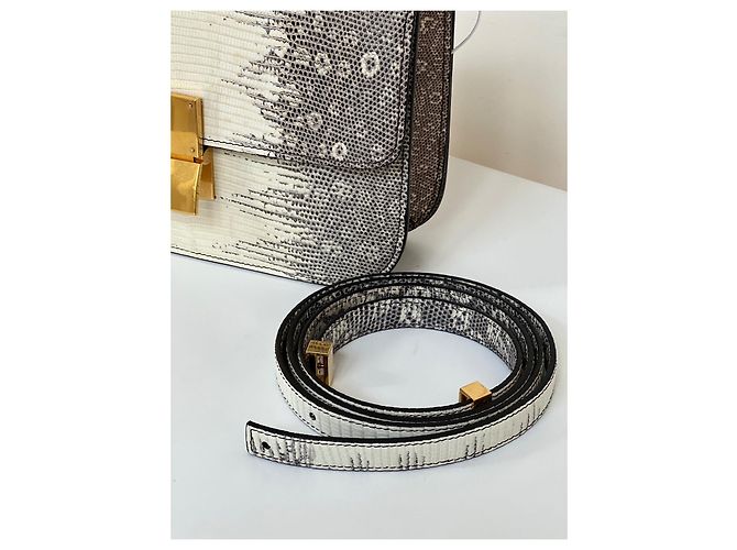 Céline Celine Lizard Medium Classic Box Bag Beige - vue 3