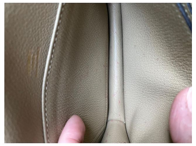 Borsa Hermès Roulis Mini in pelle Evercolor - vista 20