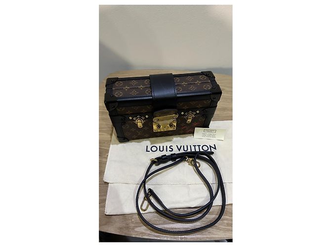 Bolso de hombro Louis Vuitton La Petite Malle Monogram y Cuero Castaño - vista 7