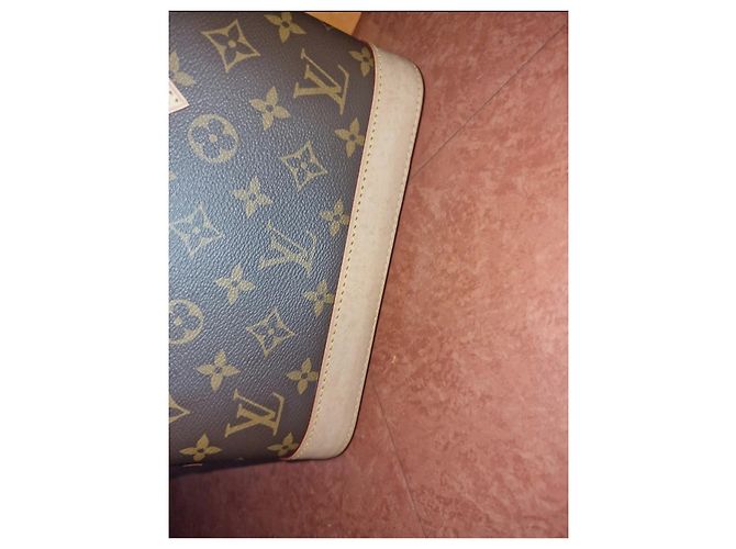Borsa Alma BB Louis Vuitton Marrone - vista 6