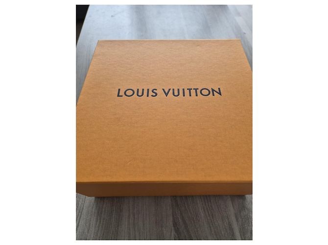 Louis Vuitton Alma BB Monogram Canvas Marrone Pelle - vista 7