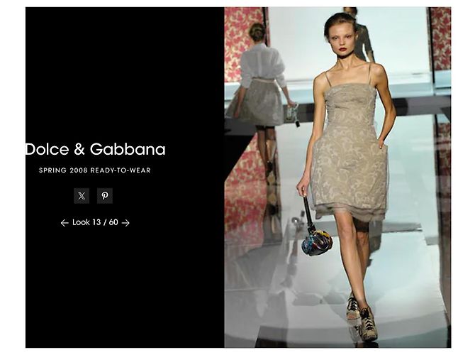 Desfile de moda de primavera de Dolce & Gabbana 2008 - vista 9