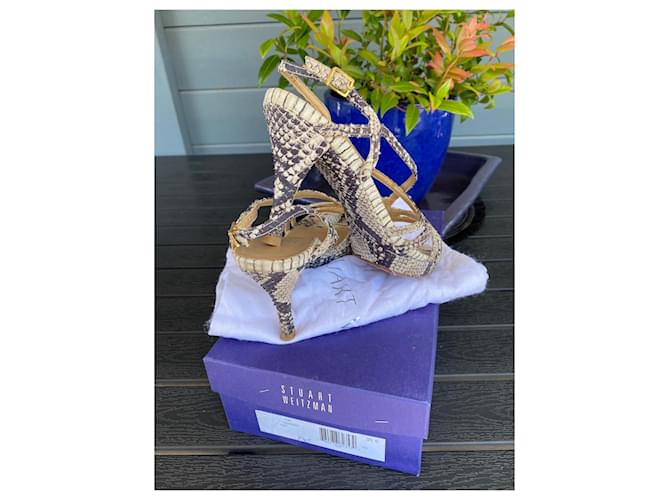 Sandali creati da Stuart Weitzman in stile pitone. Stampa python - vista 8