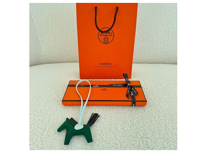 Hermès Charm Rodeo di Hermes Multicolore Verde - vista 2