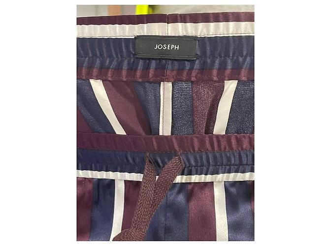 Pantaloni a gamba larga Joseph a righe in seta multicolor Stampa python - vista 6